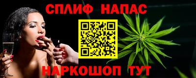 дмт Кинель