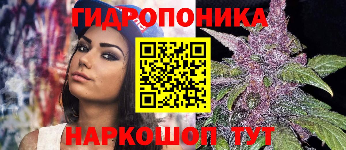 Бошки марихуана Amnesia Кингисепп